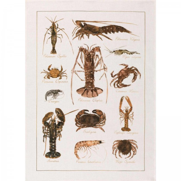 La Mer dishcloth - Crustaceans Flax Cm. 50X 70