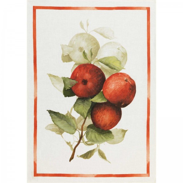 Strofinaccio Calvados - Mele Lino Cm. 50X 70