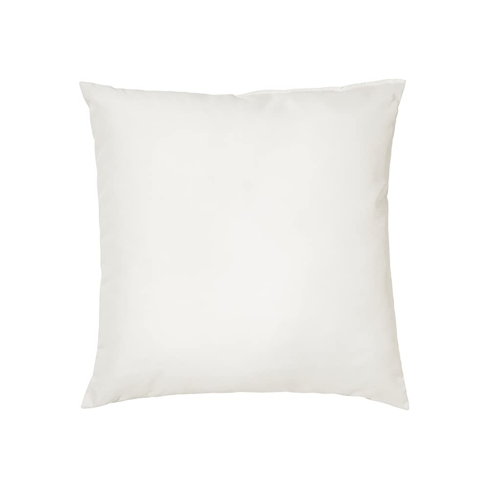 Coussins d'ameublement - Rembourrage pour meubles Coussin 60x60 cm en  Polyester