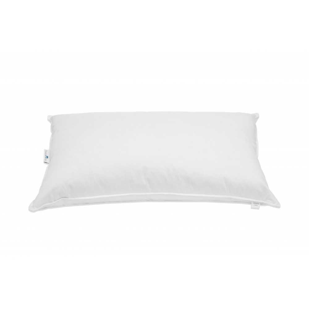 Housse de coussin anti-acariens 50X80