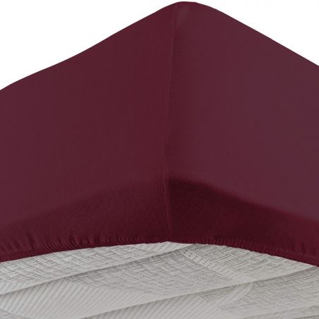 Lenzuolo sotto con angoli elastici Matrimoniale Vivacolor DaunenStep Bordeaux