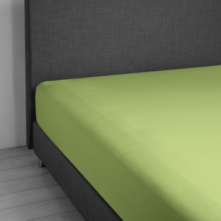 Spannbettlaken mit elastischen Ecken für Einzelbett Vivacolor von DaunenStep in Salbeigrün