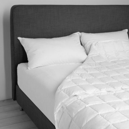 Bettdecke aus 100% Daunen für Doppelbett  von DaunenStep D800 - MITTELSAISON