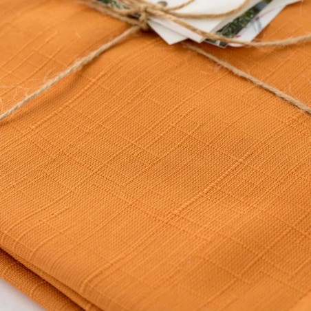 Tovaglia 150x270 anti macchia Carillo Daily Carota